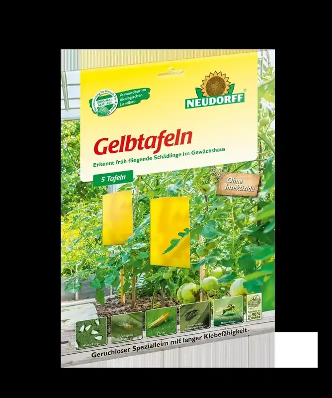 Angebot Gelbtafeln groß, 5er Pack